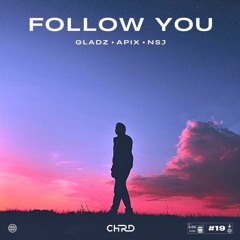 Gladz, Apix Vs NSJ Vs Martin Garrix & Dubvision Feat. Shaun Farrugia - Starlight Follow You