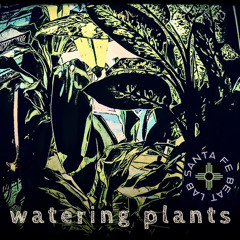 watering plants