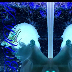 buda (VIDEO CLIPE NO YOUTUBE)