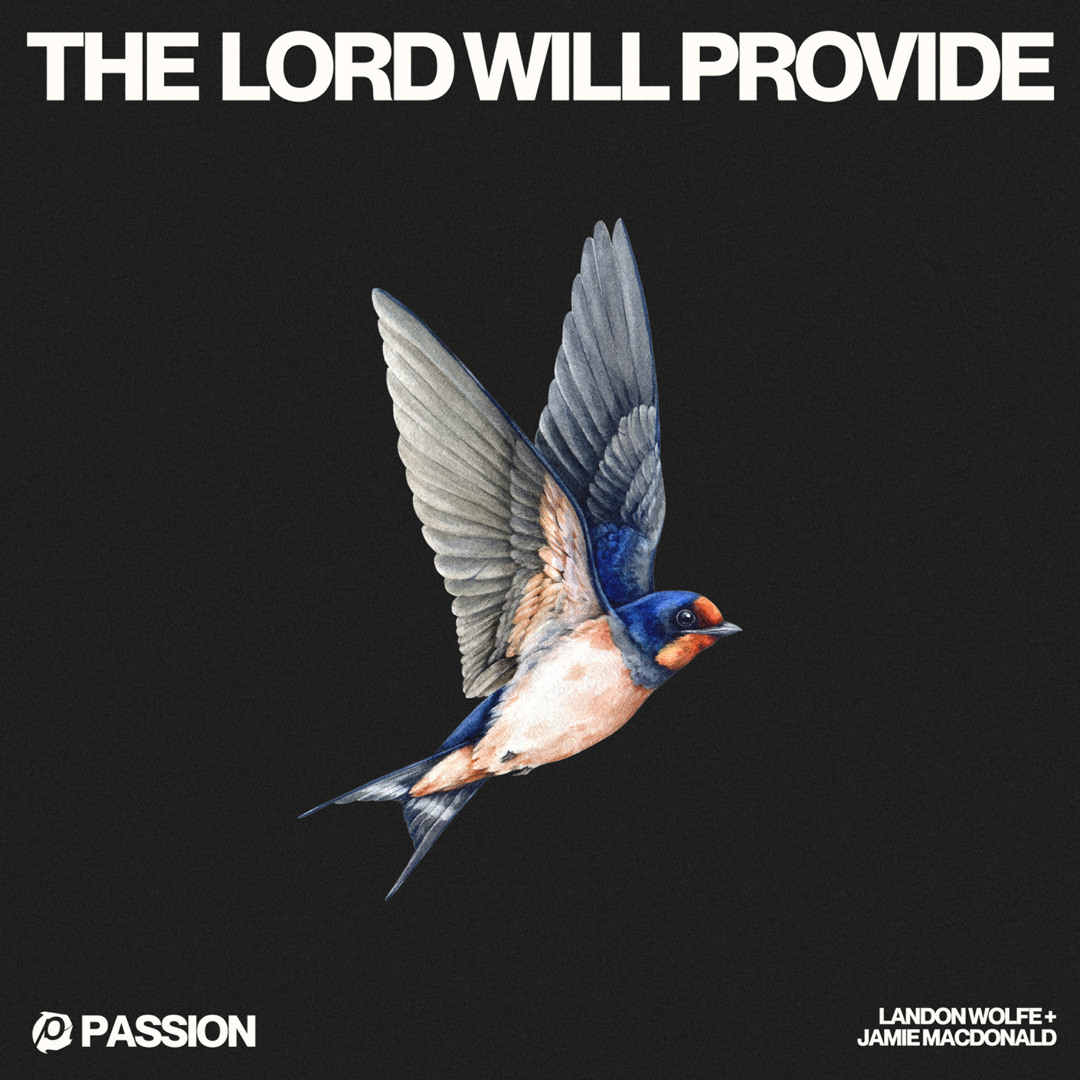 Stream The Lord Will Provide by Passion | Listen online for free on ...