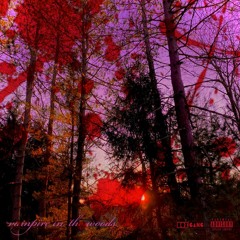 vampire in the woods (prod. Jolst)