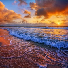 バワバワ audio background music DOWNLOAD