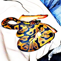 guitarhero** (plug freestyle)