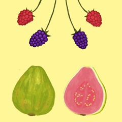 Mateguadua, las guayabas y las moras