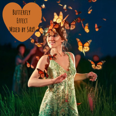 Butterfly Effect
