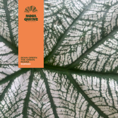 PREMIERE: Sean Green 'Green Alot' [Soul Quest Records]