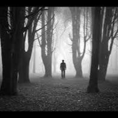 Mezi Psem A Vlkem MIX II