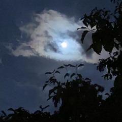 BOH BOH (Snippet) (Prod. By Fantom)