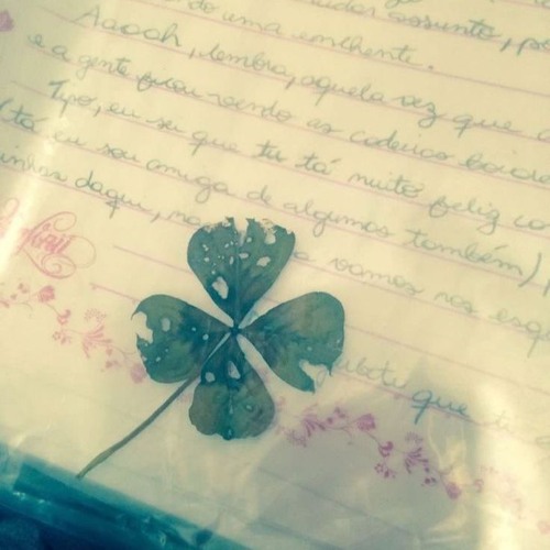 .🍀 ݁˖