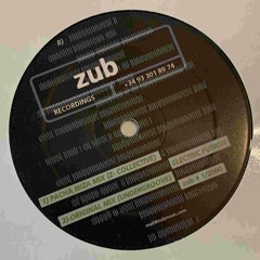 Electric Fusion (original mix)