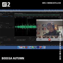 NTS RADIO: HIT A LICK RADIO W/ BODEGA AUTUMN 140425