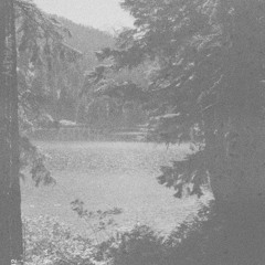 ANKHH - vivacity
