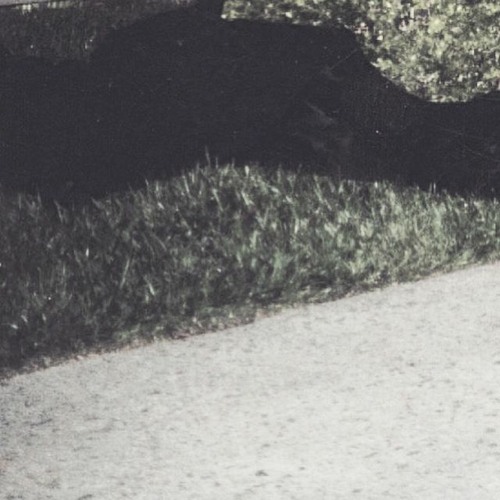 It Means A Lot Coming From You