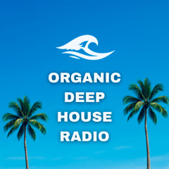 Patrick Garland (US) | November 2025 | Melodic Lighthouse on Organic Deep House Radio