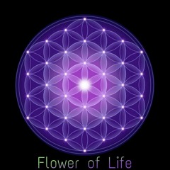 Flower of Life