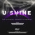 Artwork for U Shine (Hiss Band Remix)