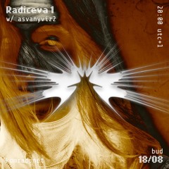 Radićeva 1 012 w/ asvany