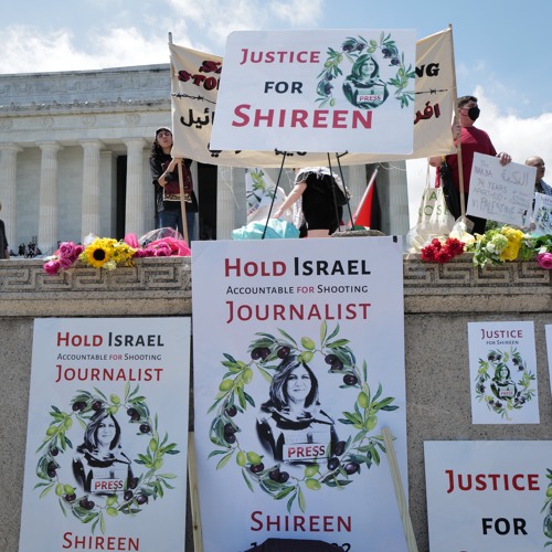 450 - מי הרג את שירין אבו-עאקלה?