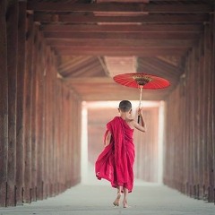 MindFlex Walking - Somatic Walking - developing embodied walking practices