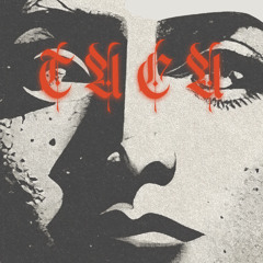 Taylan Dönmezoğlu - Tacata