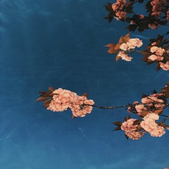 Divine (feat. Michelle Avanthay & slowthinks)