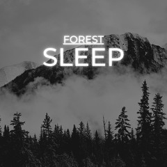 Ambient Sleep