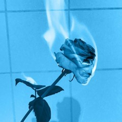 Dabi PlayList