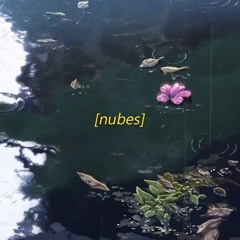 Lo-fi Type Beat - nubes