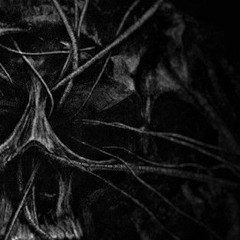 Buried - HDR Edit