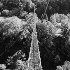 LOM Geofòn on Tibetan Bridge