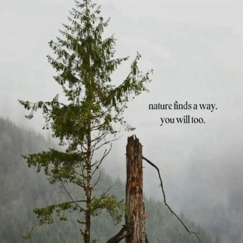 resurrection...OVERNEVER...sippingfuckingleanin foret..voormilly...constantine...ozium