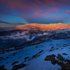 Winter Sun