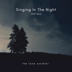 Singing In The Night (lofi mix)