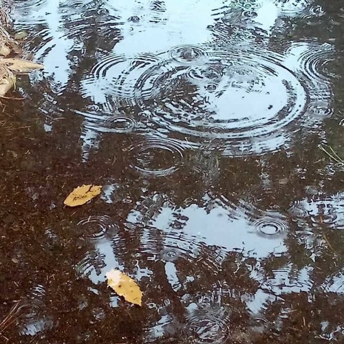 Autumnalia