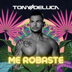Me robaste