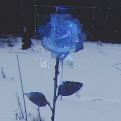 Mt Eden - Beautiful Lies