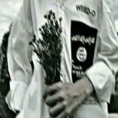 NHẠC BẮT MA
