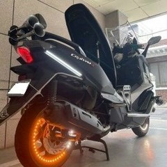 개잡쓸