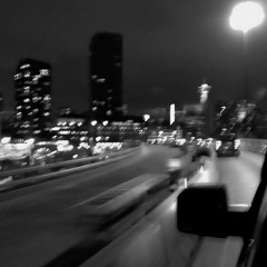 𝕔𝕠𝕦𝕟𝕥𝕣𝕪 ♕︎