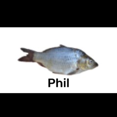 approved by SHIFTBREAKERR
