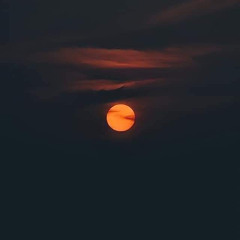 redual too (Prod. by S’MO)