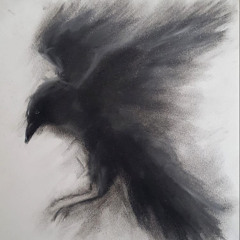 licutta - cookies n cream p.xoul