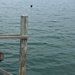 Close to you (if it's orchestral) - cover