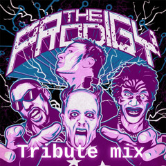 The Prodigy Tribure mix