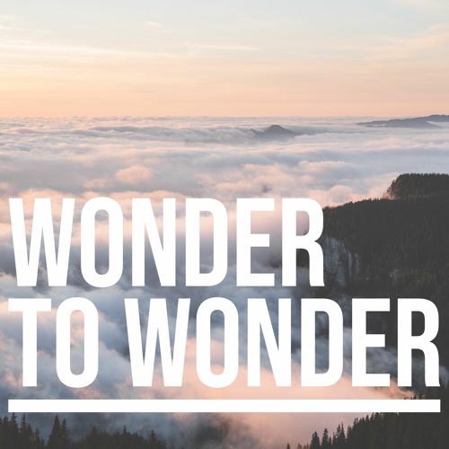Wonder To Wonder (rough mix)