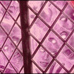 AAA (Prod. RayOffkey)