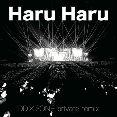 Haru Haru(DD × SONE Private REMIX)