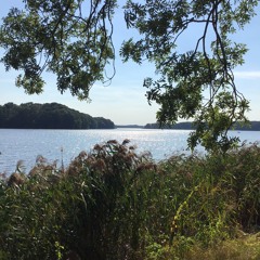 Gerade jetzt Cover- Mark Forster