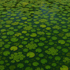 Flotando
