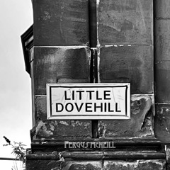 Little Dovehill (live demo)